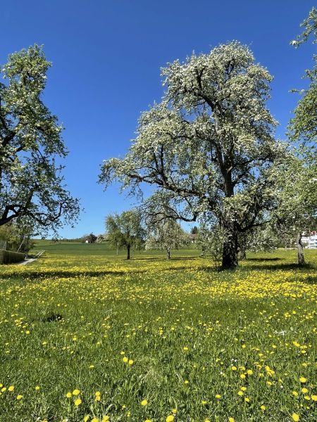 Impressionen von der Wanderung wp-content/uploads/2022/04/IMG_4223-scaled.jpeg