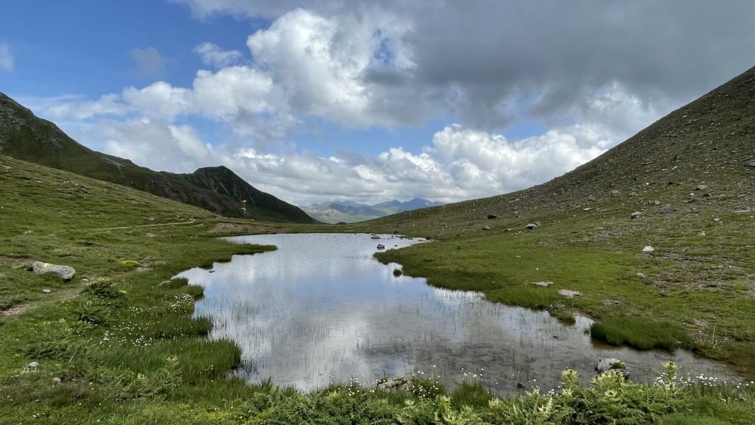 Impressionen von der Wanderung wp-content/uploads/2023/07/IMG_3591.jpeg