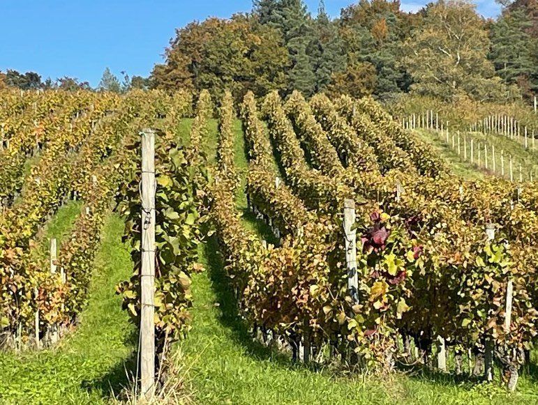 Impressionen von der Wanderung wp-content/uploads/2022/01/250631346_10223915254543650_5394571267450158426_n.jpg