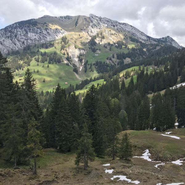 Impressionen von der Wanderung wp-content/uploads/2022/01/61731501_10216836180331219_7360229053644668928_n.jpg