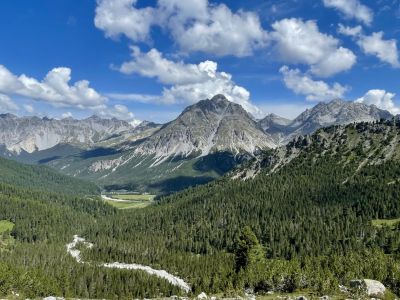 Wild. Weit. Wunderbar.