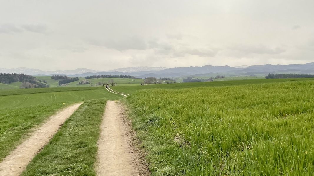 Impressionen von der Wanderung wp-content/uploads/2024/03/IMG_9832.jpeg