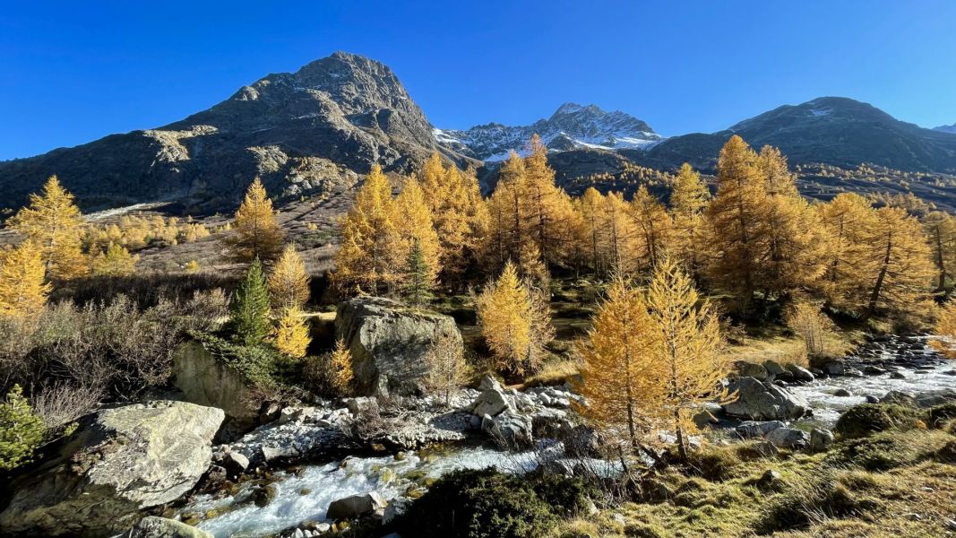 Impressionen von der Wanderung wp-content/uploads/2025/10/IMG_7190.jpeg