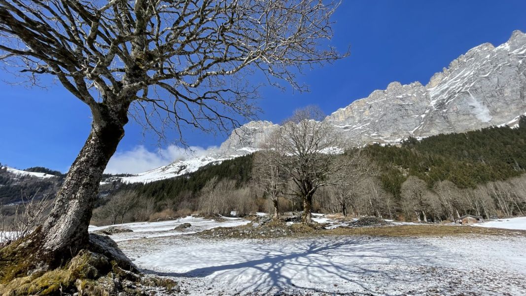 Impressionen von der Wanderung wp-content/uploads/2024/02/IMG_8439.jpeg