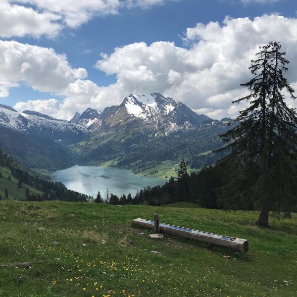 Impressionen von der Wanderung wp-content/uploads/2022/01/61884740_10216836179251192_8789398293474967552_n.jpg