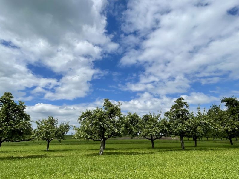 Mostindien vom Feinsten – Teil 1