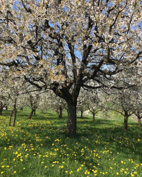 Impressionen von der Wanderung wp-content/uploads/2022/01/57597606_10216537782911470_1231654358291054592_n.jpg