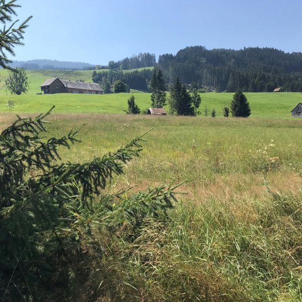 Bild von der Wandertour Barfuss von Jakobsbad nach Gontenbad