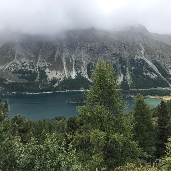 Impressionen von der Wanderung wp-content/uploads/2022/01/241060691_10223580151006271_7580972366936309374_n.jpg