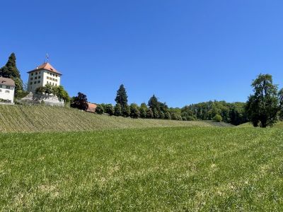 Idylle pur, ein Schloss mit Rosengarten und grandiose Fernsichten