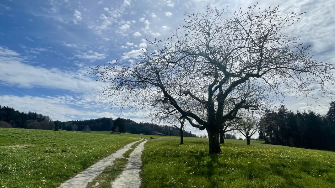 Impressionen von der Wanderung wp-content/uploads/2024/04/IMG_9962.jpeg