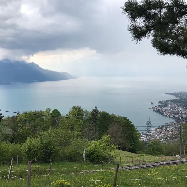 Bild von der Wandertour Hoch über dem Genfersee