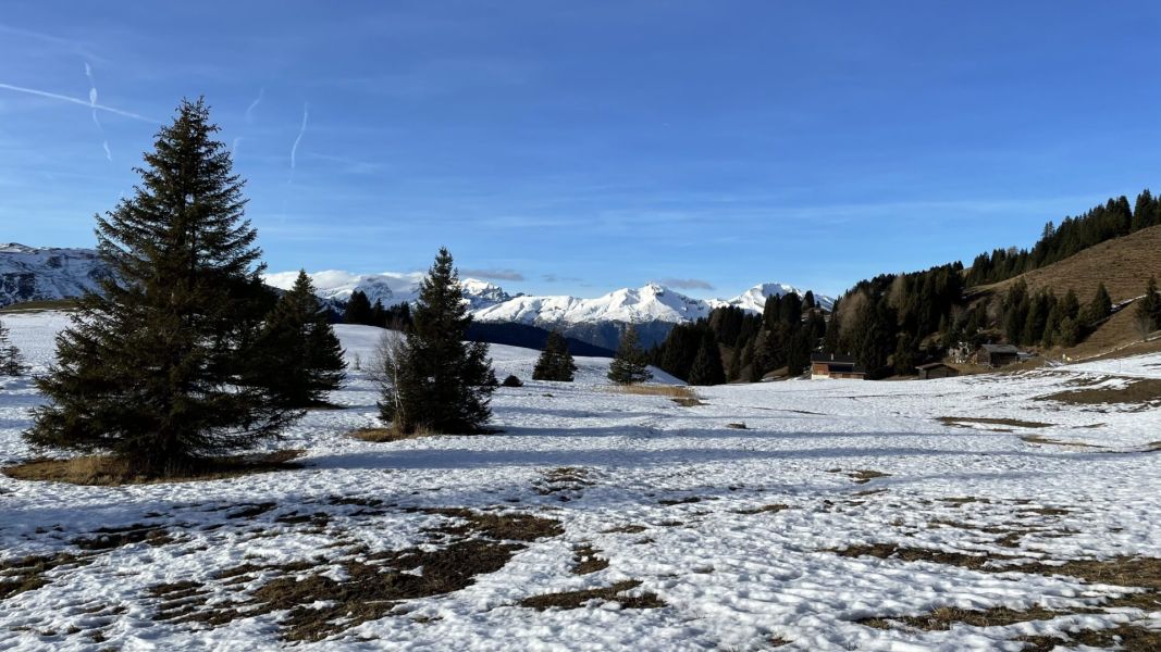 Impressionen von der Wanderung wp-content/uploads/2023/01/IMG_7913.jpeg