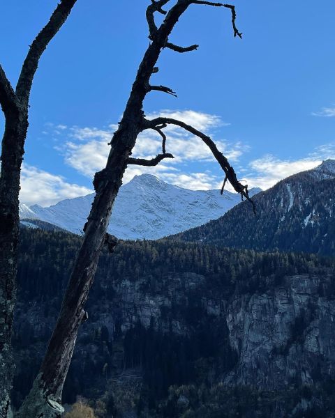 Impressionen von der Wanderung wp-content/uploads/2022/01/255521630_10223968683919351_6134204497544154506_n.jpg