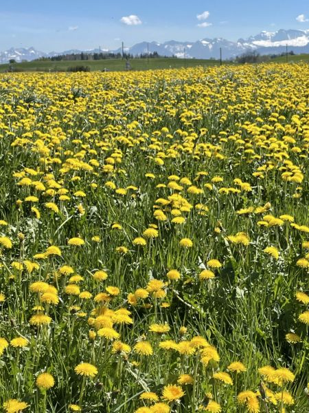 Impressionen von der Wanderung wp-content/uploads/2022/04/IMG_4209-scaled.jpeg