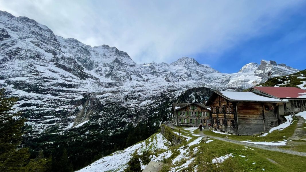 Impressionen von der Wanderung wp-content/uploads/2024/09/IMG_3171.jpeg