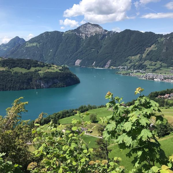 Impressionen von der Wanderung wp-content/uploads/2022/01/99156564_10220046593869551_4357734106977533952_n.jpg