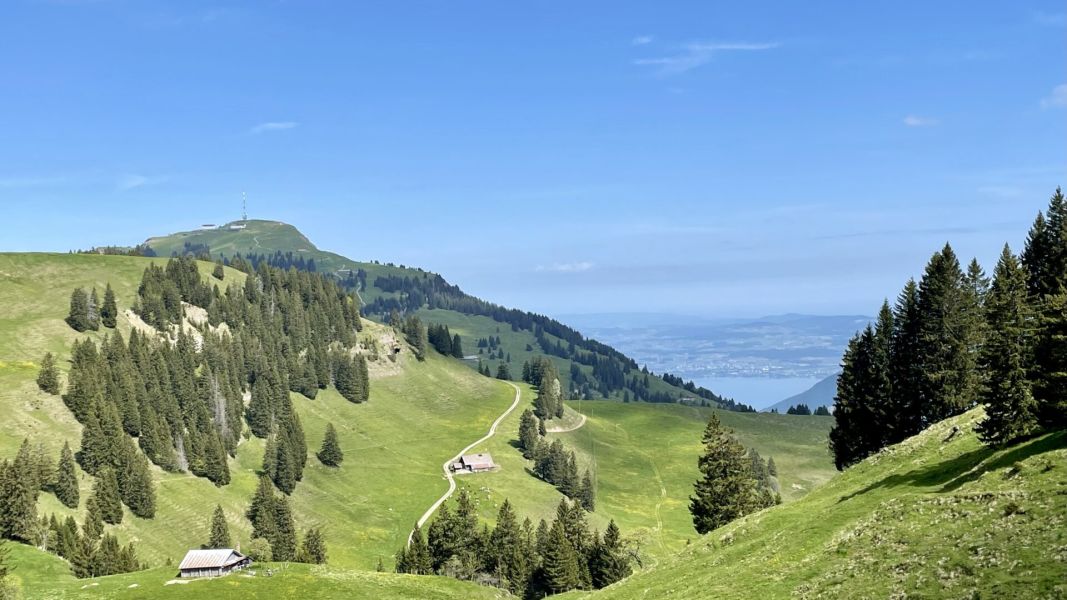 Impressionen von der Wanderung wp-content/uploads/2025/05/IMG_4887.jpeg