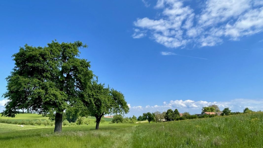 Impressionen von der Wanderung wp-content/uploads/2025/05/IMG_4793.jpeg