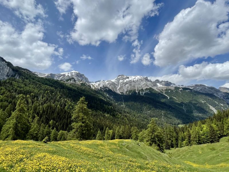 Ein Unbekannter zwischen zwei Welten