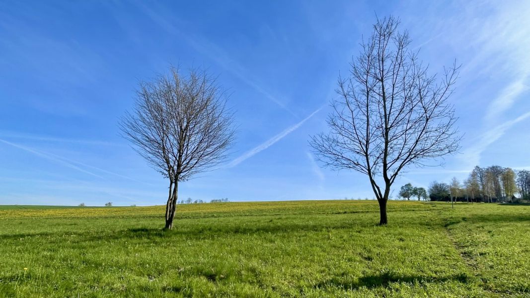 Impressionen von der Wanderung wp-content/uploads/2026/04/IMG_7892.jpeg