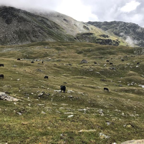 Impressionen von der Wanderung wp-content/uploads/2022/01/117444969_10220791620494751_7834081897202404115_n.jpg