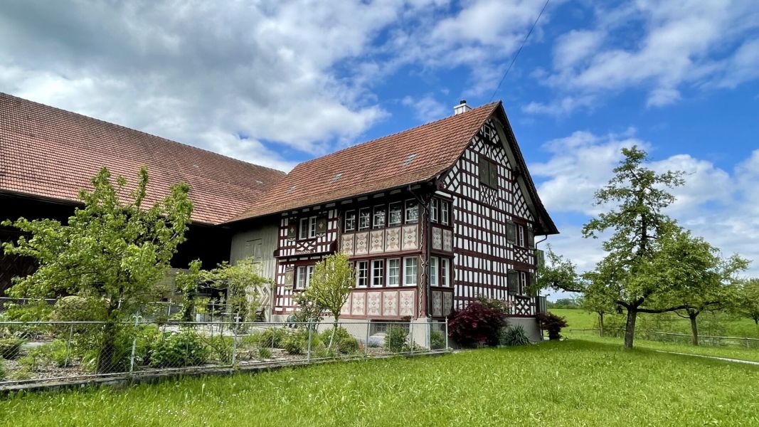 Impressionen von der Wanderung wp-content/uploads/2024/05/IMG_0790.jpeg