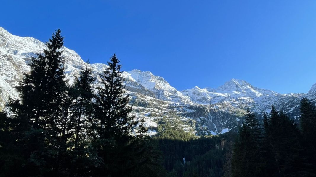 Impressionen von der Wanderung wp-content/uploads/2024/09/IMG_3125.jpeg