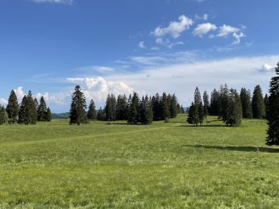 Neuenburger Jura: Ein Mix aus Appenzellerland, Emmental und Engadin