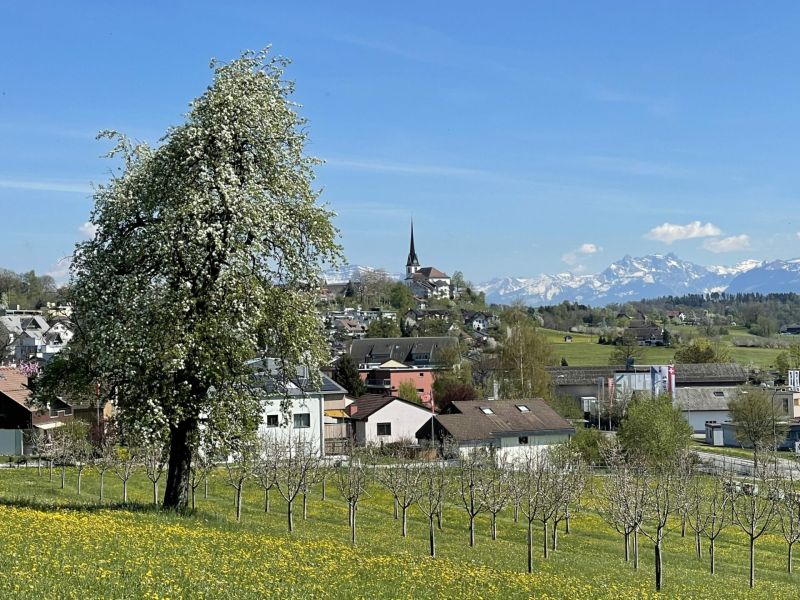 Bild von der Wandertour Das Zürcher Oberland: Ein vielfältiges Erholungsgebiet
