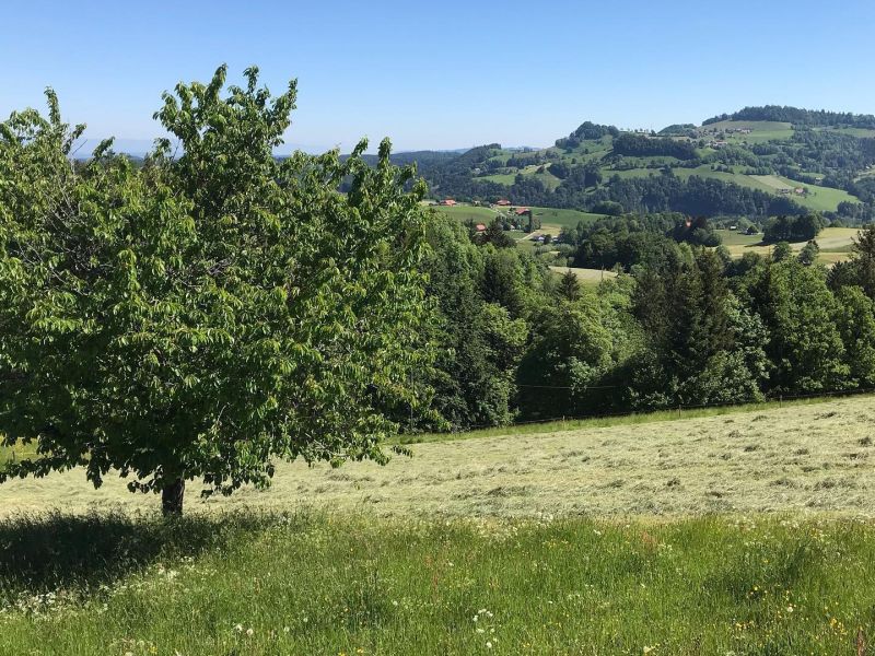 Liebliches Freiburgerland