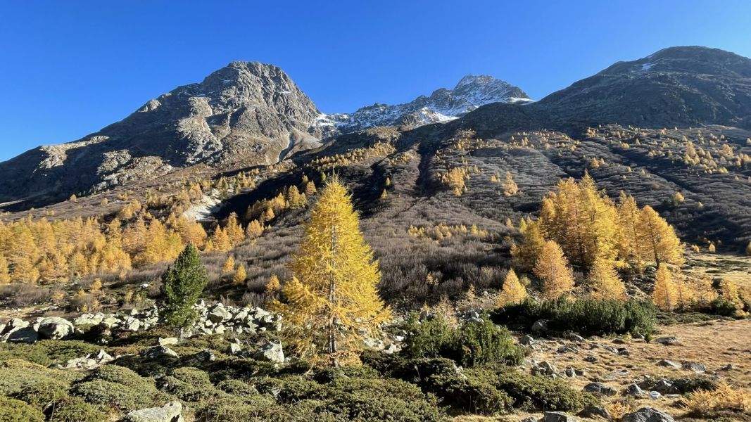 Impressionen von der Wanderung wp-content/uploads/2025/10/IMG_7188.jpeg