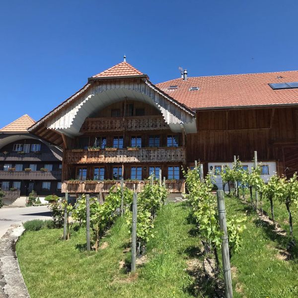 Impressionen von der Wanderung wp-content/uploads/2022/01/98338752_10220011353188556_806862322982191104_n.jpg