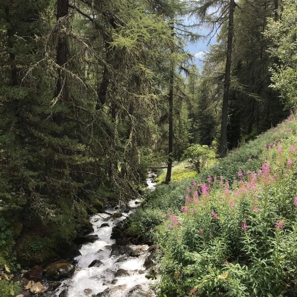 Impressionen von der Wanderung wp-content/uploads/2022/01/118052911_10220786358083194_6619144467243038462_n.jpg