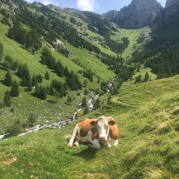 Impressionen von der Wanderung wp-content/uploads/2022/01/67690941_10217294890638690_4114675353576800256_n.jpg