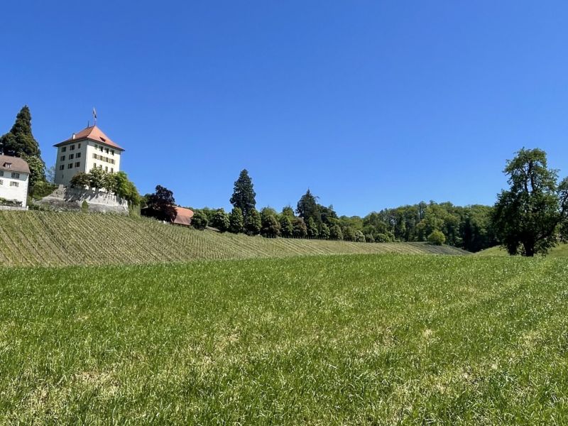 Idylle pur, ein Schloss mit Rosengarten und grandiose Fernsichten