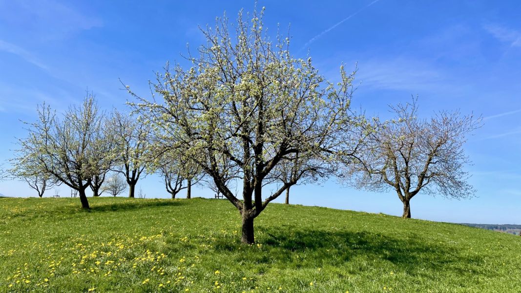 Impressionen von der Wanderung wp-content/uploads/2026/04/IMG_7917.jpeg