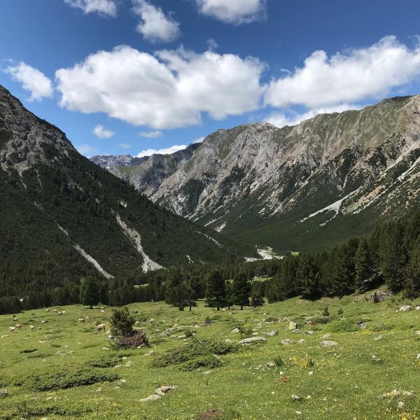 Impressionen von der Wanderung wp-content/uploads/2022/01/219461505_10223353799587627_547984781026041717_n.jpg