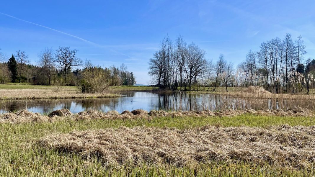 Impressionen von der Wanderung wp-content/uploads/2026/04/IMG_7908.jpeg