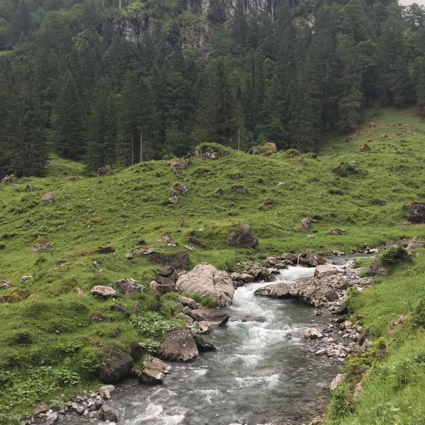 Impressionen von der Wanderung wp-content/uploads/2022/01/67847829_10217274049597677_58770541477101568_n.jpg