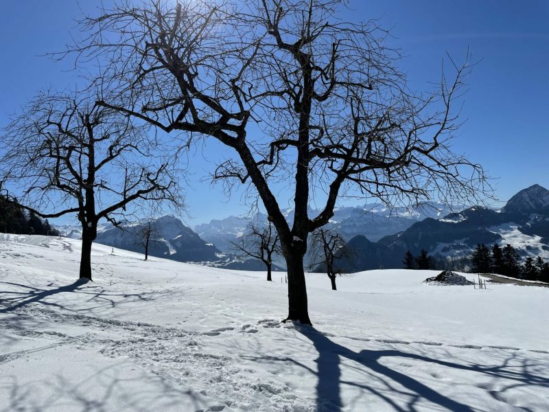 Impressionen von der Wanderung wp-content/uploads/2022/04/F8C7297D-CD7D-4B29-86E5-D14E31641751-scaled.jpeg