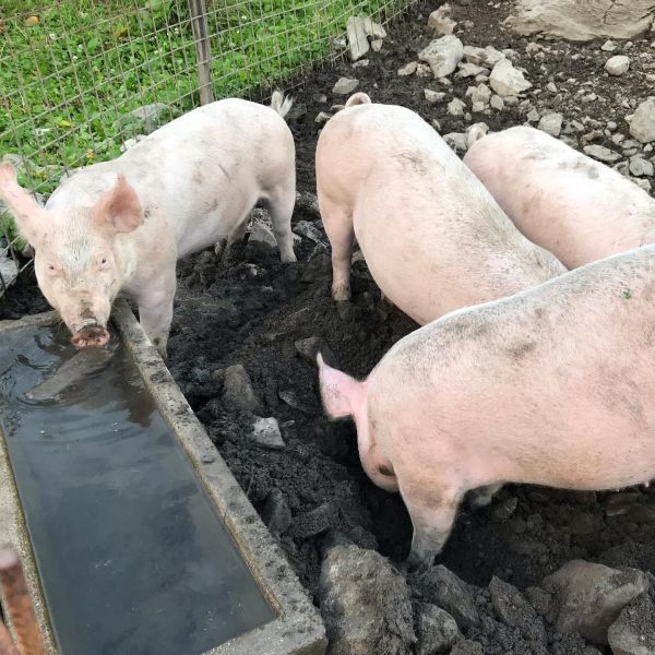 Impressionen von der Wanderung wp-content/uploads/2022/01/69501444_10217479548535022_784922470393053184_n.jpg