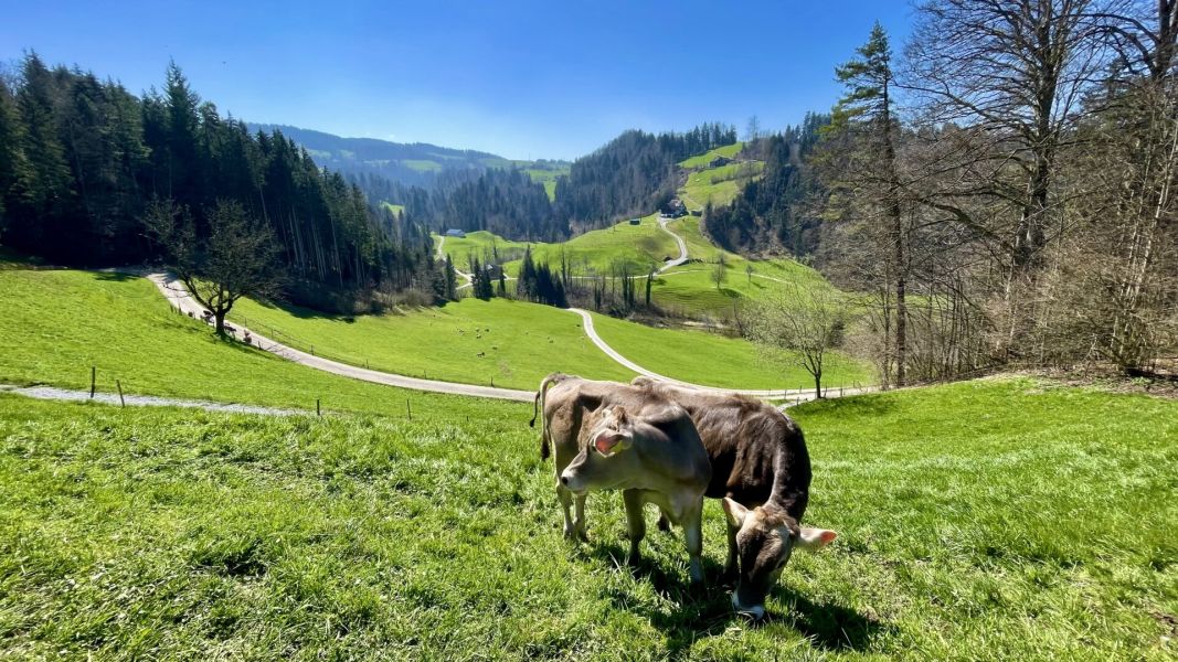 Impressionen von der Wanderung wp-content/uploads/2025/04/IMG_4223.jpeg