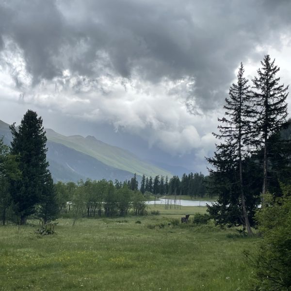 Impressionen von der Wanderung wp-content/uploads/2022/07/IMG_7019.jpeg