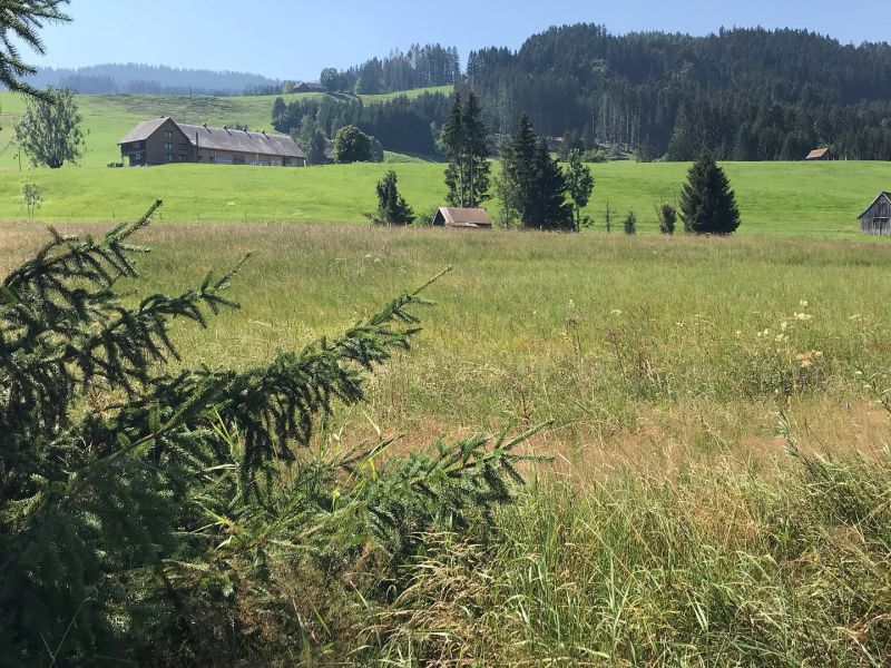 Barfuss von Jakobsbad nach Gontenbad