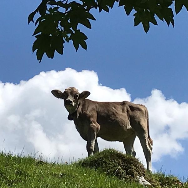 Impressionen von der Wanderung wp-content/uploads/2022/01/99118557_10220046593309537_4997283608122097664_n.jpg