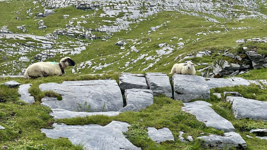 Impressionen von der Wanderung wp-content/uploads/2025/08/IMG_6027.jpeg