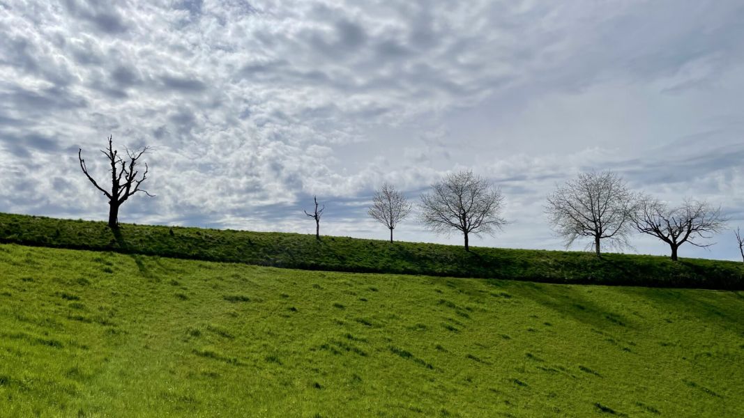 Impressionen von der Wanderung wp-content/uploads/2024/04/IMG_9976.jpeg