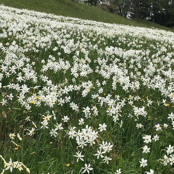 Impressionen von der Wanderung wp-content/uploads/2022/01/61132092_10216795013342070_7934411089574363136_n.jpg