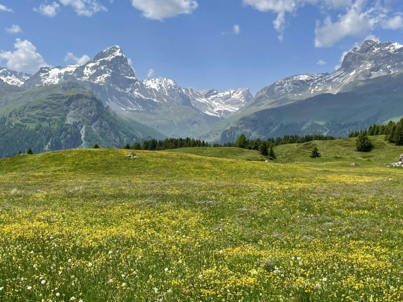 Alp Flix – Farbenmeer auf 2’000 Metern